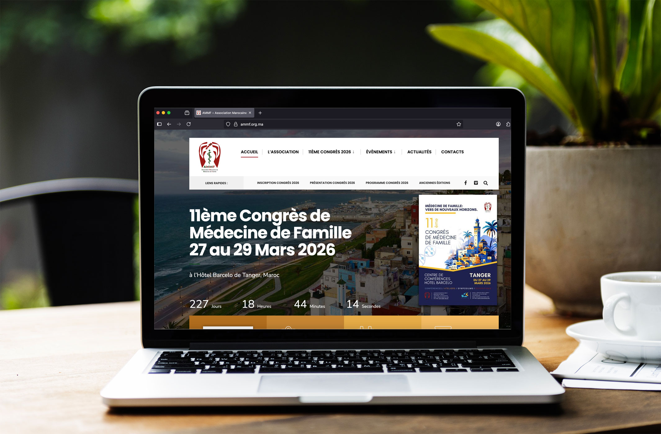 AMMF Website - Desktop